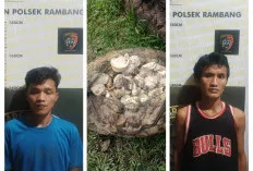 Waspada, Jelang Lebaran, Pencuri Getah Karet Marak Beraksi di Muara Enim