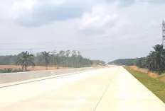 Tol Betung-Jambi Ditargetkan Tersambung 2027, Masalah Ganti Rugi Lahan Mulai Diselesaikan