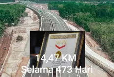  Jalan Tol Bayung Lencir - Tempino, Bukti Kecepatan dan Inovasi Konstruksi Indonesia