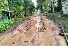 Jalan Rusak di Desa Kotadaro 2 Ogan Ilir Kian Parah, Warga Minta Perbaikan Segera  