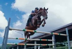Pordasi Jalin Kerja Sama dengan Kementerian Pertanian,  Ciptakan Zona Bebas Penyakit Kuda di Indonesia