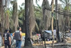 Api Membara di Sumur Minyak Ilegal Muba, Polisi Selidiki Penyebab dan Pemiliknya