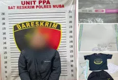 Buruh Panen Sawit Diamankan, Diduga Setubuhi Anak Majikan di Bawah Umur