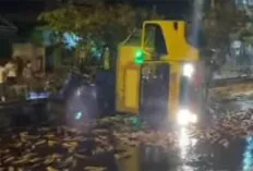 Ribuan Ikan Patin Tumpah ke Jalan 