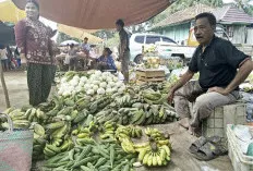 Pasokan Lancar, Harga Pisang di Kalangan Terusan Tetap Terjangkau
