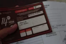 Catat dan Simak, Ini Jadwal dan Masa Kerja serta Besaran Honor Pantarlih Pilkada 2024