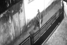 Motor Pencari Nafkah Warga Lubuklinggau Dicuri, Terekam CCTV