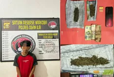 Satres Narkoba Polres Ogan Ilir Ungkap Kasus Peredaran Ganja di Timbangan