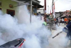 Waduh, Ada 40 Kasus DBD Serang Warga Kota Palembang 