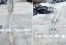 Jalan yang Baru Dicor Dilintasi Pengendara Sepeda Motor