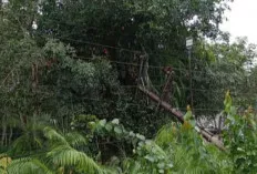 Wilayah Sungai Lilin – Babat Supat Alami Pemadaman Listrik, Ini Penyebabnya 