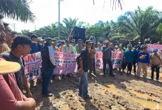  Protes Jalan Rusak, Warga Beberapa Desa Kecamatan Keluang Gelar Aksi Damai 