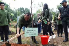 Plh Sekda Edward Candra Tanam 400 Bibit Pohon di Punti Kayu