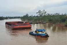Larangan Hauling Darat Picu Lonjakan Tongkang Batu Bara di Sungai Lilin