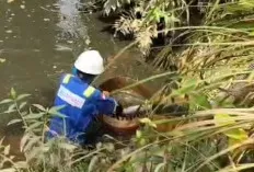 Warga Muratara Keluhkan Dugaan Tumpahan Minyak PT SRMD