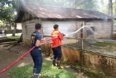 Kebakaran Gudang di Sekayu Berhasil Dipadamkan, Kerugian Capai Rp5 Juta