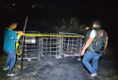 Tiga Tedmon Berisi 3.000 Liter Minyak Mentah Terbakar di Sanga Desa Muba, Polisi Lakukan Penyelidikan