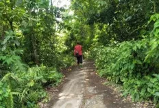 Nyaris Tutupi Badan Jalan 