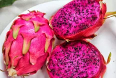 Buah Naga, Sangat Bermanfaat untuk Kesehatan Tubuh Manusia