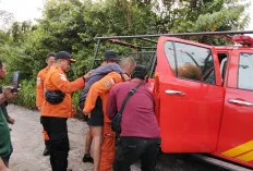 Hilang Dua Hari di Hutan Banyuasin, Karyawan Tambang Ditemukan Selamat oleh Tim SAR