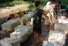 Jelang Lebaran Harga Karet di OKU Mengalami Kenaikan 