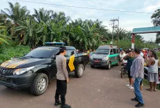 Dugaan Pembunuhan Gegerkan Simpang KUD Trijaya Lais, Polisi Buru Pelaku