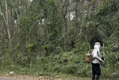 Jarak Pandang Pengendara Tidak Lagi Terhalang, Sudah Dilakukan Tebas Bayang 