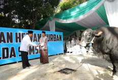 Sentuh Pekerja Lepas hingga Ponpes, Polda Sumsel Tebar Ratusan Hewan Qurban di Hari Raya