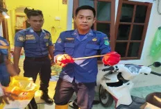 Petugas Damkar Sat Pol PP Muba Evakuasi Ular Masuk Rumah Warga di Kecamatan Sekayu