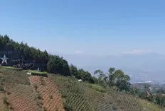 Menjelajahi Daya Tarik Bandung: Lebih dari Sekadar Kota Kembang