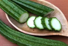 Oyong: Si Sayur Segar yang Kaya Manfaat untuk Kesehatan Tubuh