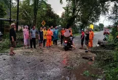 BPBD Muba Gerak Cepat Evakuasi Pohon Tumbang Depan SDN 8 Sekayu 
