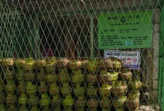 Himbau Warga Beli Gas Elpiji di Pangkalan Resmi