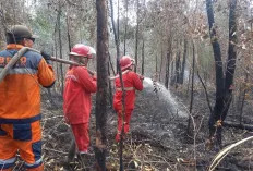 Selama 4 Hari Tim Karhutla Berjibaku Padamkan Kebakaran Lahan di Desa Rambai Pangkalan Lampam OKI