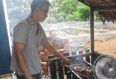 Warung Ayam Bakar Alami Penurunan Omset, Ini Penyebabnya