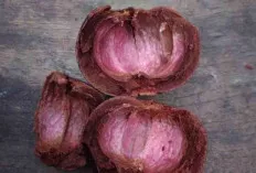 Mau Tahu, Ini Khasiat dari Kulit Buah Manggis