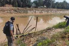 Mayat Tanpa Identitas Ngapung di Parit Primer Desa Bandar Tenggulang Babat Supat