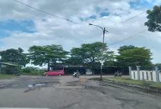 Tanam Pisang di Jalan Rusak Depan Pasar Randik Sekayu, Hindari Lakalantas