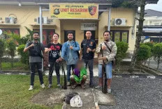 Diringkus Polisi, Simpan Dua Pucuk Senjata Api Rakitan Jenis Kecepek