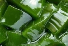 Cincau, Menyegarkan untuk Kesehatan!