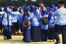 Para Guru PPPK memohon Kepada Presiden Terpilih, Mengembalikan Kurikulum Tingkat Satuan Pendidikan 