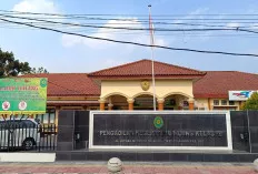 Tiga Pemilik 58 Ekor Buaya Terancam 5 Tahun Penjara