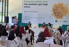 Hindoli dan YCP Gelar Lomba Masak 