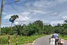 Lampu Penerangan Jalan Umum di Perbatasan Muba dan Mura Sudah Terpasang 