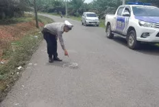 Maut di Tikungan,  Pengendara Motor Tewas Tertabrak Truk Box di Jalan Sekayu–Sungai Lilin
