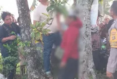 Heboh! Pedagang Sayur di OKI Ditemukan Tewas Gantung Diri di Pinggir Sawah  