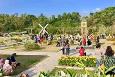 Merapi Park: Destinasi Wisata Instagramable Terbaru di Yogyakarta!