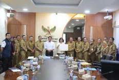 Dorong Rumah Sakit  Daerah  Tonjolkan Program Layanan Unggulan