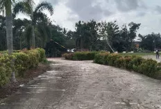 Akses Jalan Menuju Kantor Kecamatan Keluang Alami Kerusakan 