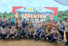 Tanam Jagung di Lahan Seluas 1 Hektar, Dihadiri Wabup Muba Terpilih 